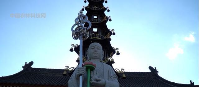 古寺|李世民母亲铜镜隐映出的寺庙,杨凌小湋河塬畔的照镜古寺