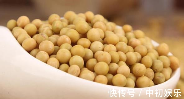 在家发豆芽好简单,只需水和豆,5天就发好,脆嫩好吃,干净卫生