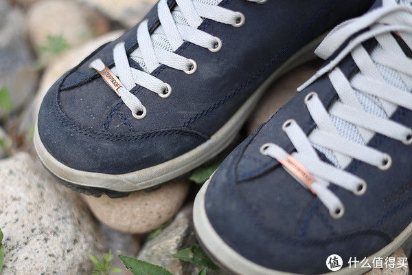 斯立德|随风奔跑，自由是方向