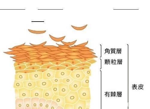 婴幼儿|婴儿护肤也有讲究以为赢在“起跑线”,反而埋下隐患