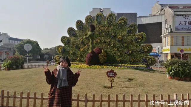  读诗|SUFE·为你读诗