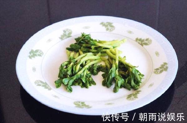 中华本草|农村有种蚊子菜，种一次吃10年，因为功效，很珍贵，你认识吗