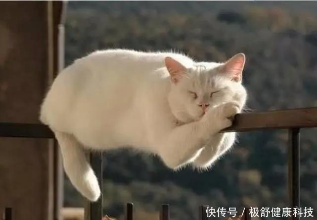 如果有人让你累了就在桌上趴一会,可以回身给他一个大嘴巴