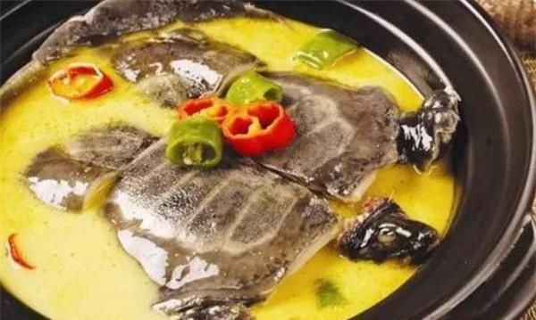 這蛋的含鈣量比雞蛋高4倍,卻比鵪鶉蛋還小,很少有人吃過