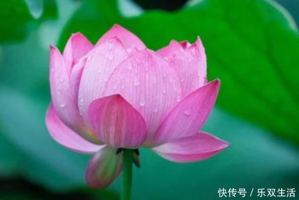 吉人自有好痣相 身上有5个 吉 痣的人 天生好命又富贵 快资讯 吉人自有好痣相 身上有5个 吉 痣的人 天生好命又富贵 快资讯