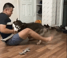 |搞笑GIF:看什么看?赶紧来救我,真装不下去了