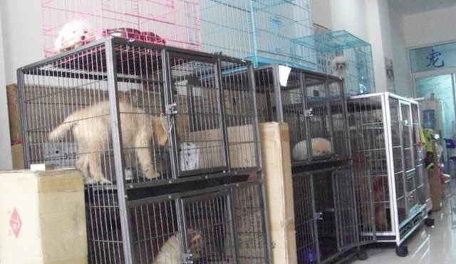 内衣|电商家坦言这5类商品,最好去实体店买,否则吃亏的是自己!