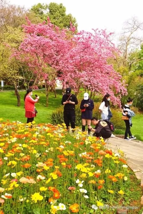 春光无限好，花艳景美岂能错过！