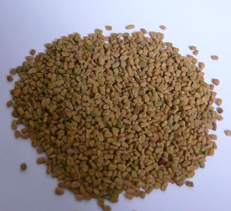  介绍|57种香料特性介绍喜欢的收藏