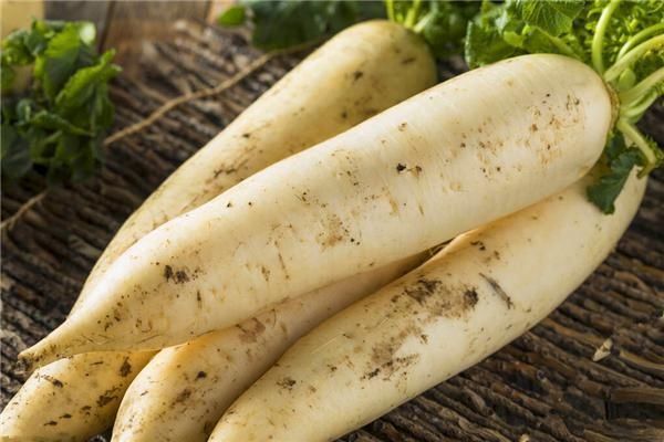 买萝卜,看准5个地方,个个水分足不空心,老农的方法真管用