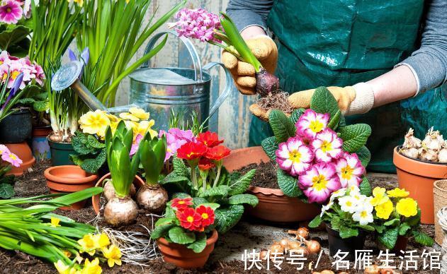 养花的土壤板结?加上4种东西,土壤疏松有劲,养啥都省心
