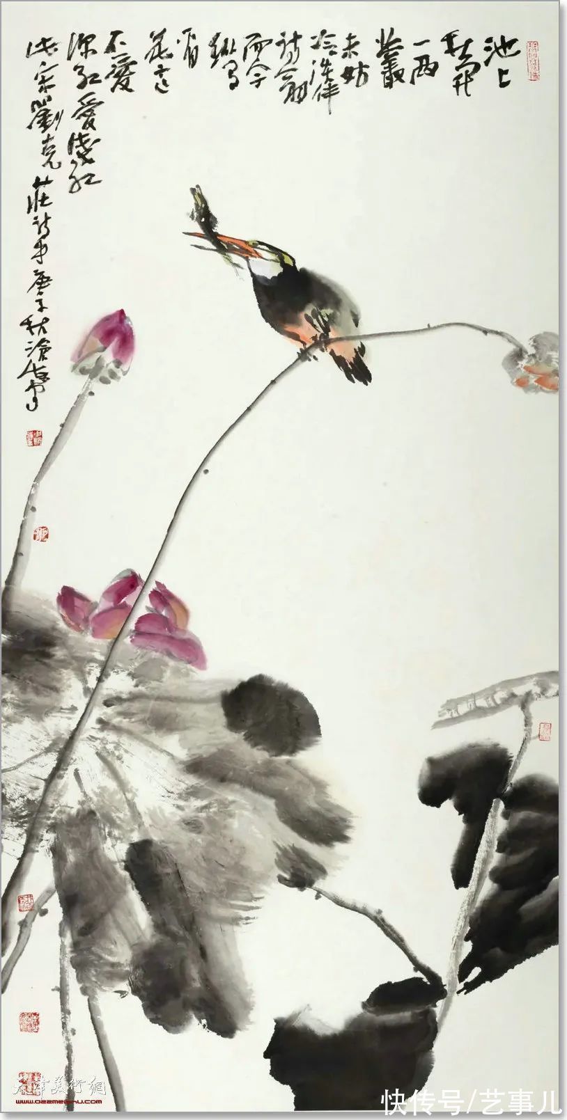 库尔勒!尹沧海教授荷花水禽作品欣赏:笔意简率自由 一派天趣自成