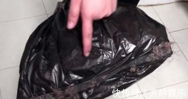 家里满地头发太难扫？试试这个超省事的方法，一根头发都见不到！