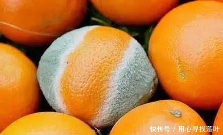 转为|53岁大妈脂肪肝转为肝硬化,医生这3种水果再美味也不可多吃