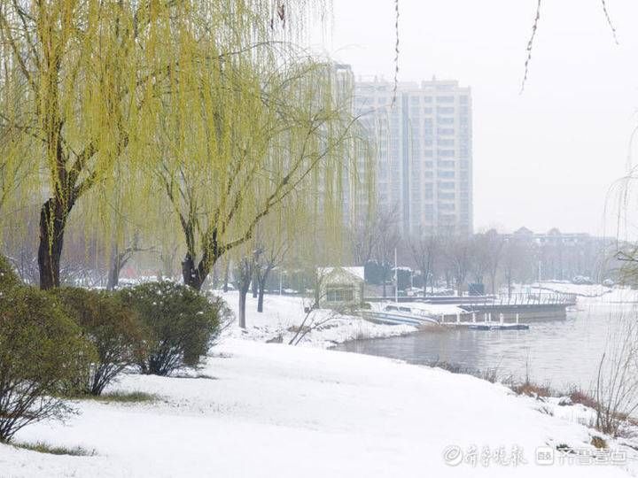 邢台|雪！雪！雪！聊城雪景大片来了，美翻天……