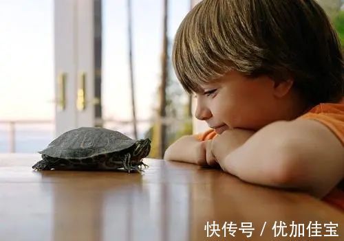 独特性|孩子喜欢上了“孤独”,正常吗?不会是“自闭症”吧?