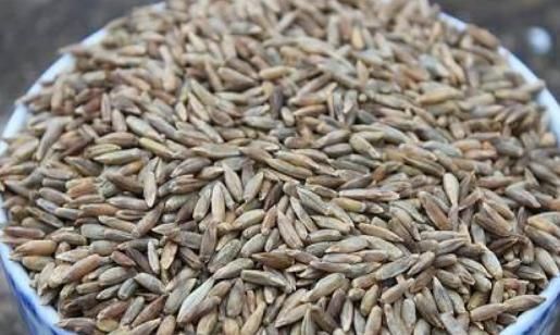 患上了糖尿病,几种食物要舍得吃,血糖或许会保持的稳稳地