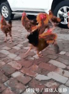 “如果给你一碗米饭,只允许你配一个菜,你会配什么菜”