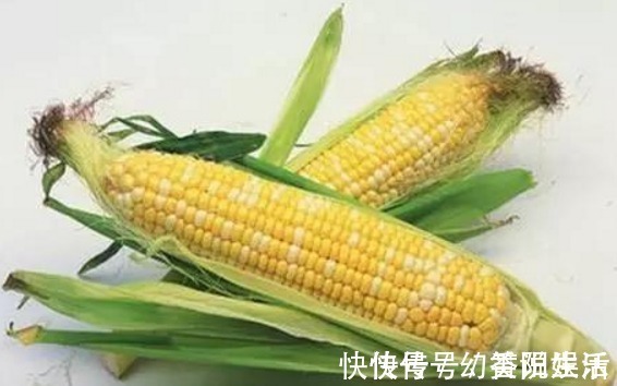 抗癌|玉米抗癌抗衰老，浑身都是宝，但千万不要这样吃玉米！