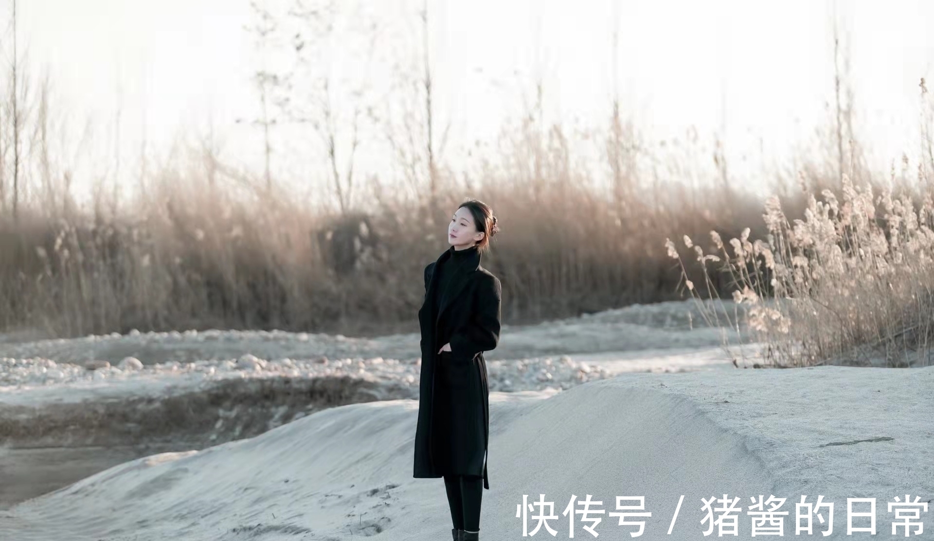 梅蕊&七律·冬日情怀:星坠雪深窗外响,月斜云厚竹枝翻