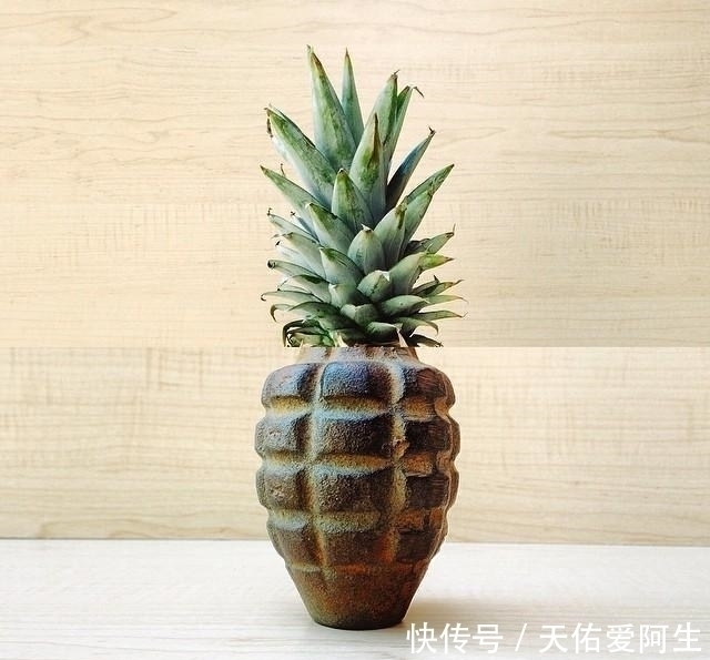 图片@艺术家将两张不同的图片拼接后,奇迹就这样发生了