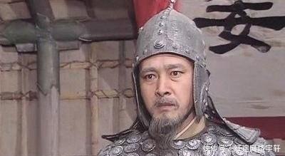 泄露|钟会造反,如果消息不泄露并且有姜维参加,能击败司马昭吗?