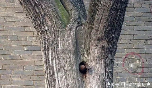 爆炸|这座古庙,当年被连发13发炮弹均未爆炸