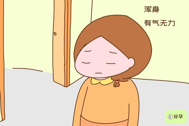 怀孕|怀孕没显怀,为什么老人一眼就能看出有孕原来细节出卖了自己