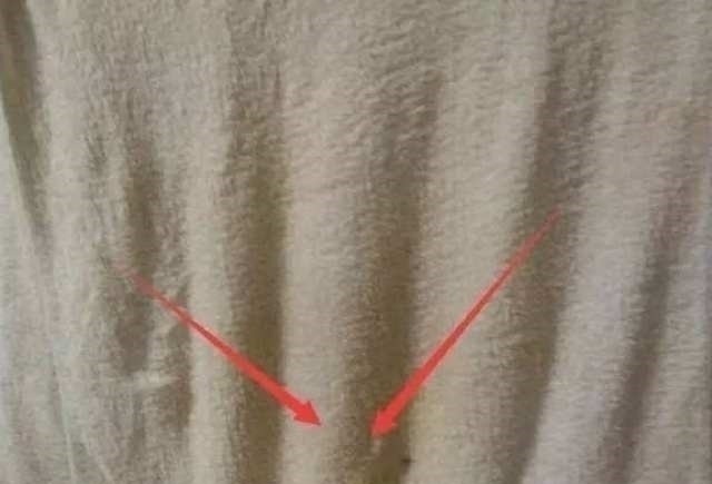 毛巾用久了又滑又臭？教你一个小窍门，毛巾马上和新的一模一样