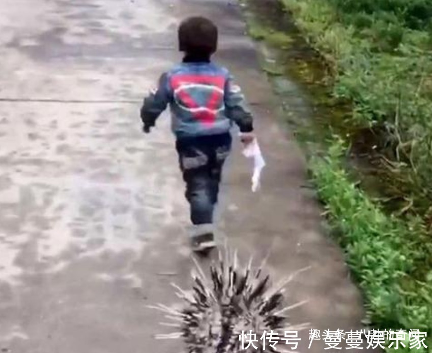 幼儿园|宝宝在幼儿园被欺负，隔天带“神兽”去复仇，网友太野了吧