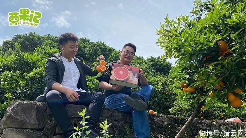 批发|破局传统批发之路，西果记率先抢登互联网+时代