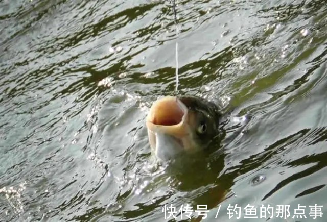 初春野钓时,钓友选择这3个钓点,不愁钓不上鱼!