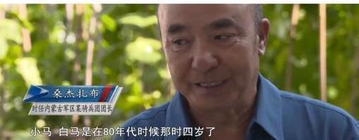 白龙马！86版《西游记》白龙马惨死马棚，尸骨无存，揭开人性的恶