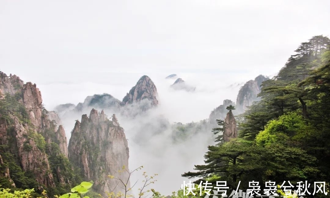 lion$亚明画黄山:意阔幽深天然韵