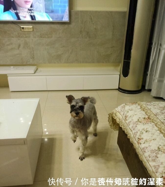 时钟|通风三个月入住，全屋漂亮极了，花了25万，我们家人都觉得不亏！