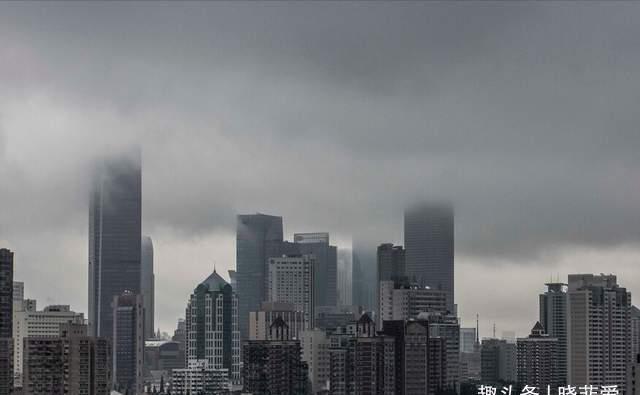 自制|夏季养花“爱生虫”,自制“4种水”驱虫,虫子全死光