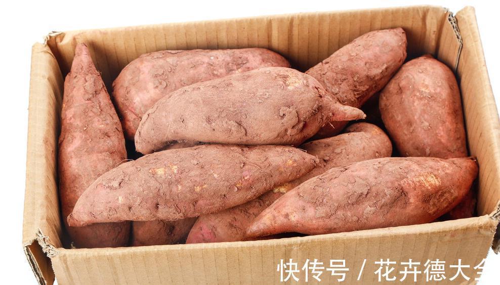 存放|红薯保存很简单!不用地窖,教你3招,红薯不烂不发霉,越放越甜