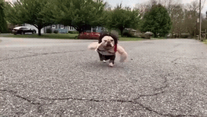 |搞笑GIF:第一次住女朋友家 她爸突然进来了