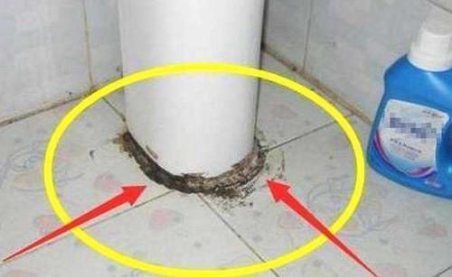 阿姨|玻璃胶发黑怎么洗也洗不掉,保洁阿姨教我这招解决,太聪明了