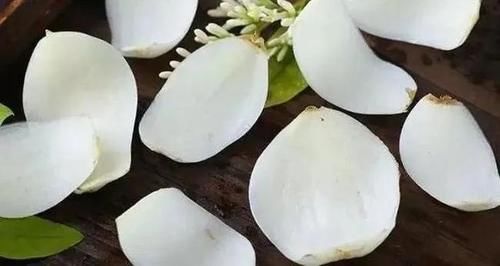 秋季|秋季“第一大补”竟是它!化痰止咳安神助眠……配上鸡蛋功效翻倍