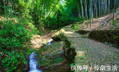 曲江春#刘禹锡的诗一向振奋人心,只有这首不一样,从开篇到结尾句句伤感