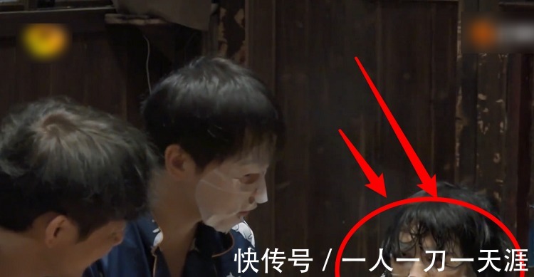 嘉宾|导演为何只选张子枫一位常驻女嘉宾看完首期节目后,终于明白了