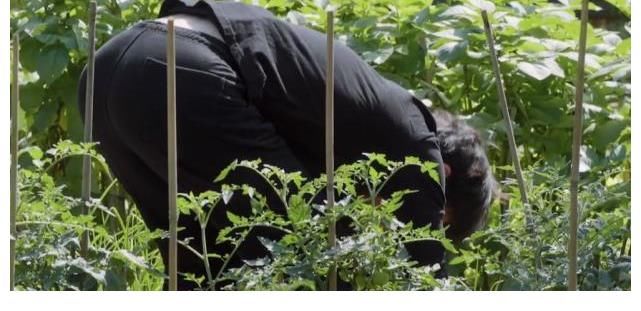 做飯|張藝興做5道菜8個人不夠吃，彭彭幫忙被忽視，黃磊夸贊背后是偏愛