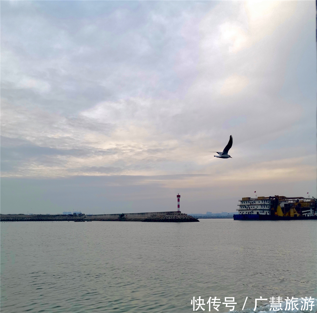 山东日照旅游一日游景点推荐,这几处标志性打卡地的游玩经验分享给你