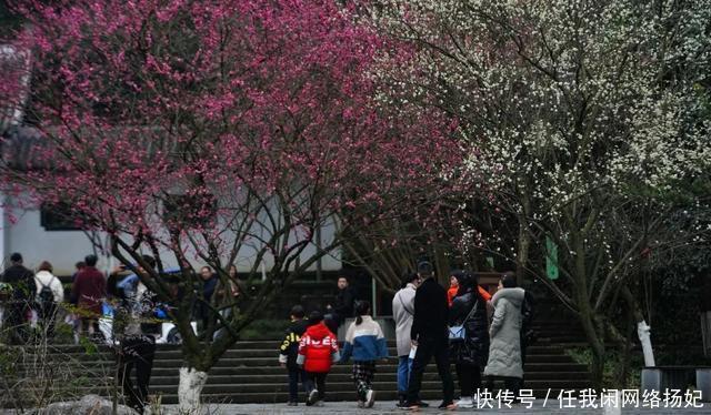 名气|世外桃源上演国潮文旅大餐,民俗体验度直线飙升!