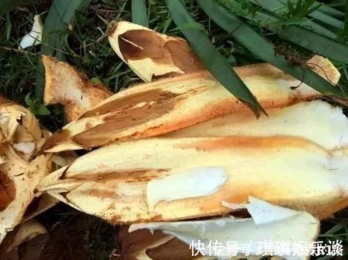 食物|女人若想补充雌激素,不妨多吃3种食物,或许能越来越年轻