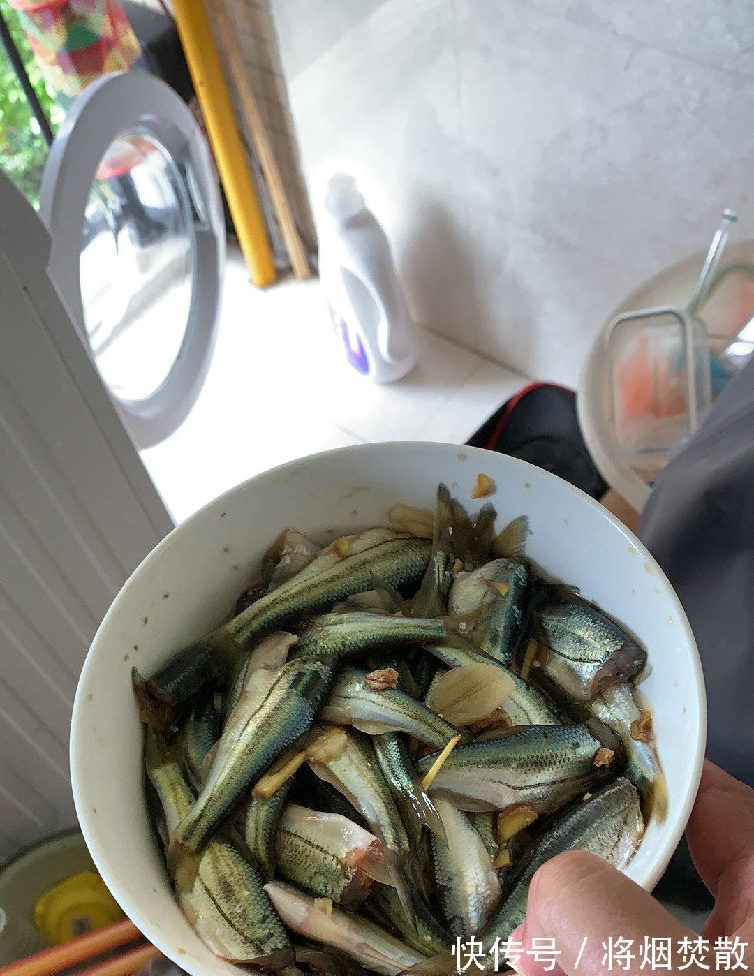 老一辈|吃起来很鲜？四川小河里“彩色麦穗鱼”泛滥，老一辈叫麦线子鱼