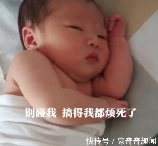 养型|嫌弃脸宝宝火了,刚出生就嫌弃父母,网友:这家庭也敢生我?