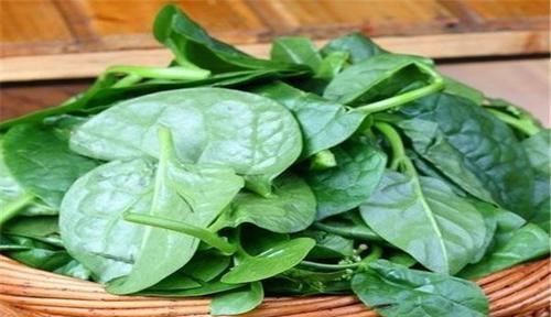 马蹄|最有营养的3种食物，值得天天吃一些，增强体质，好处多多