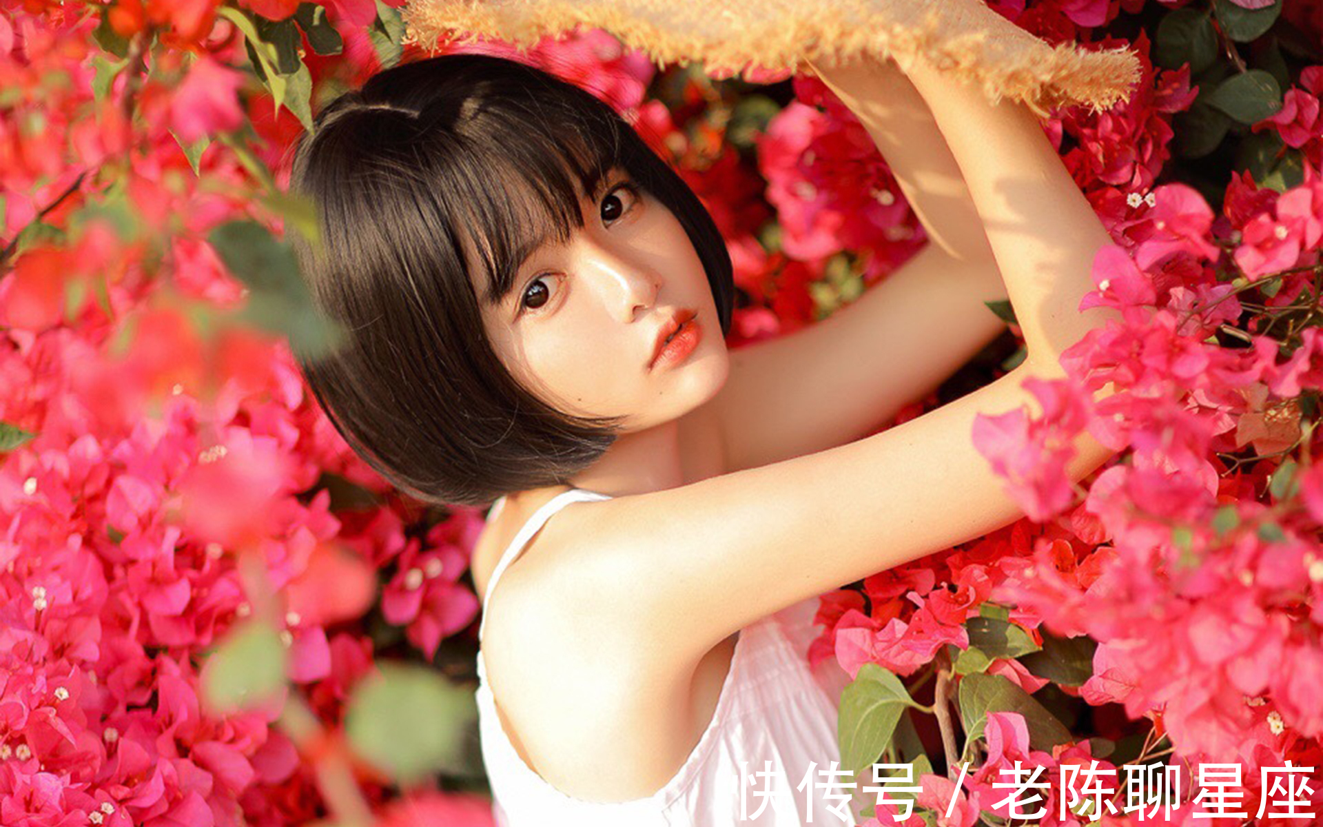 从9月23日开始 运势如虹 会鸿运当头 幸福常在的三大星座 全网搜 从9月23日开始 运势如虹 会鸿运当头 幸福常在的三大星座 全网搜